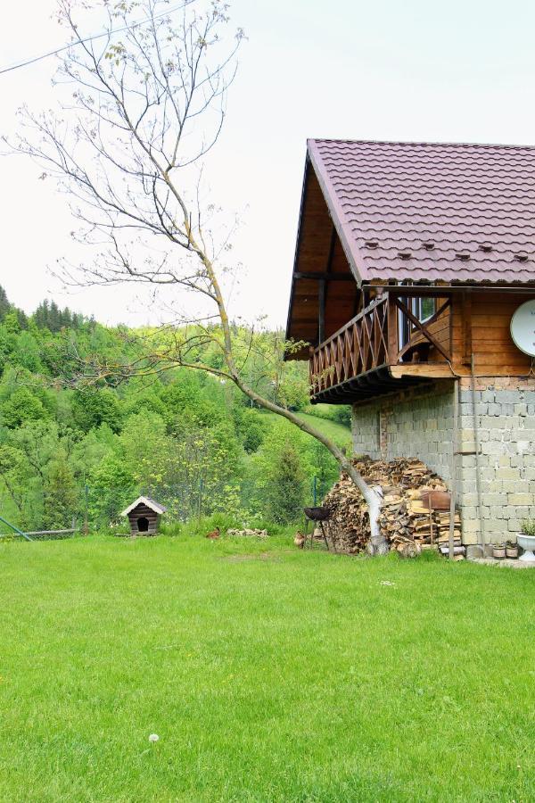 Багрівчанка Apartment Yaremche Ngoại thất bức ảnh