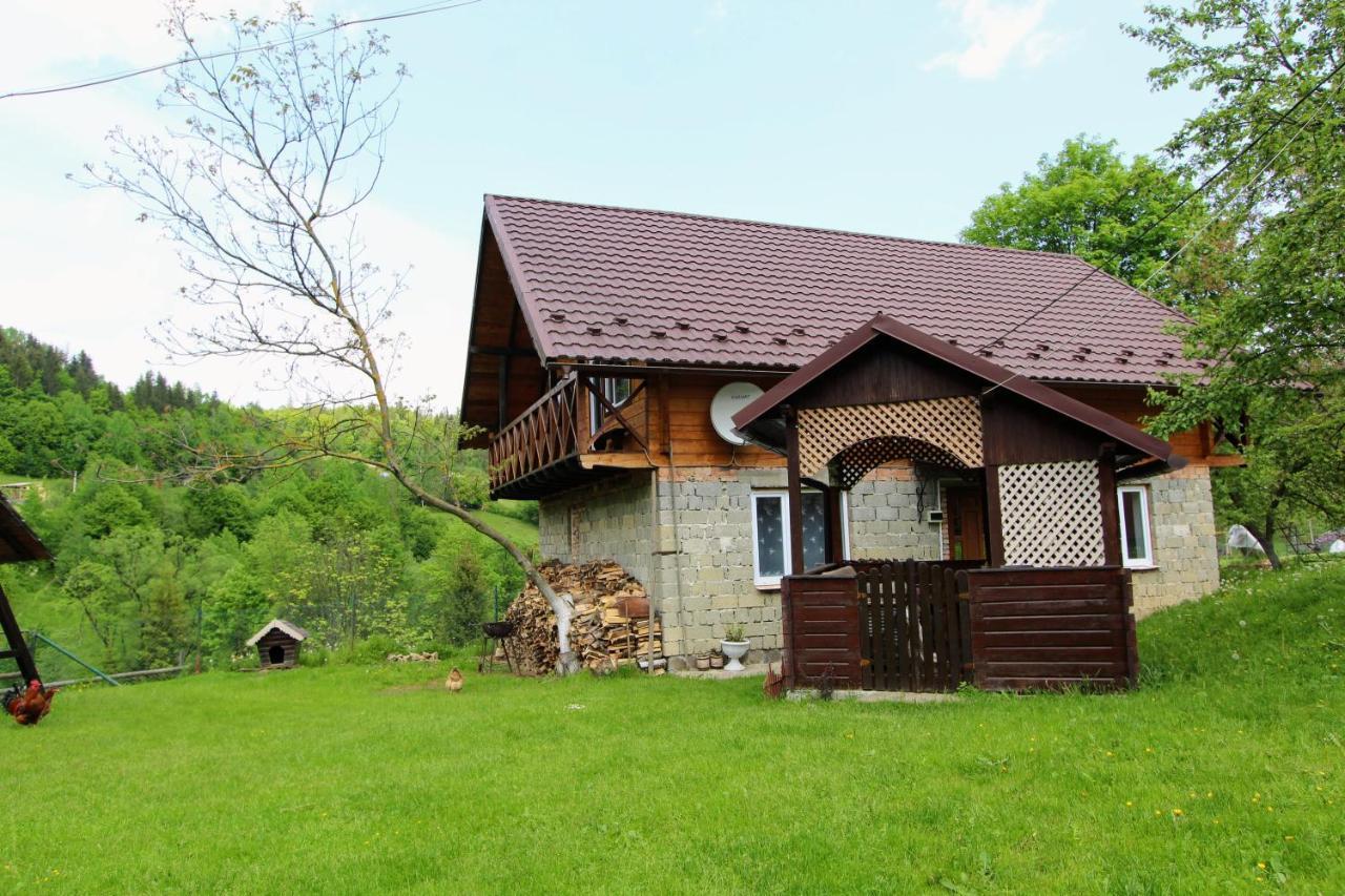Багрівчанка Apartment Yaremche Ngoại thất bức ảnh